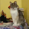 Отзыв от Мария Лопатина